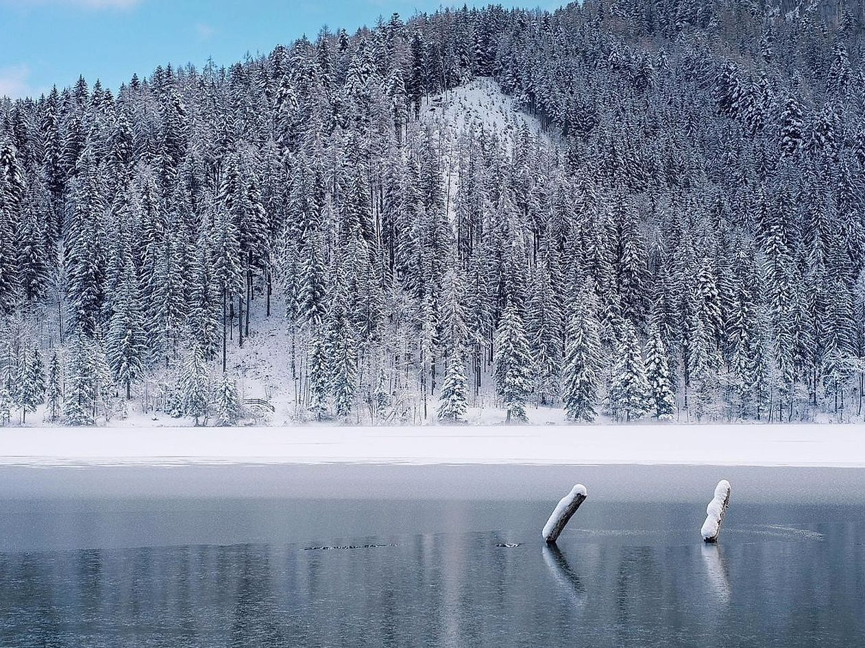 Tundra aberta com picos nevados ao fundo